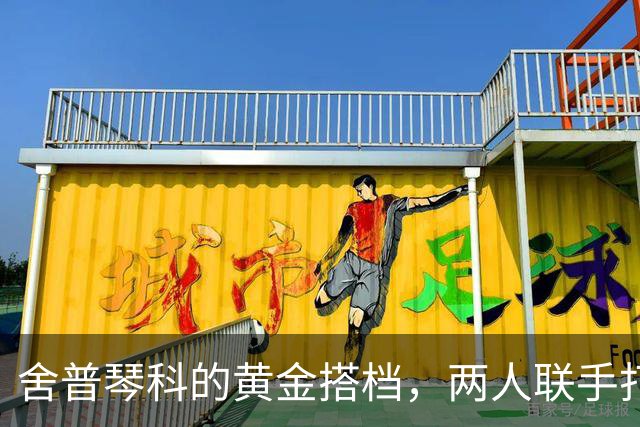 舍普琴科的黄金搭档，两人联手打爆皇马巴萨，却在英超折戟沉沙